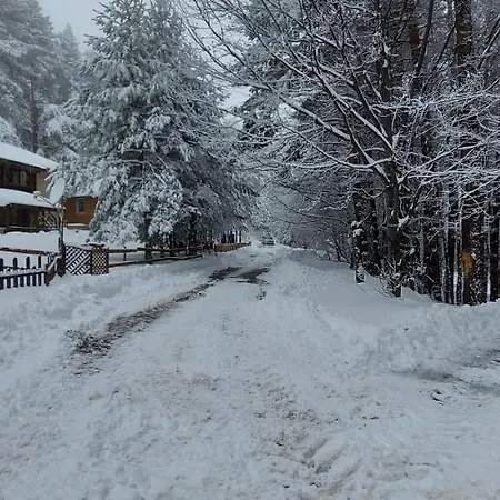 Vanessa Koprivki Area Zar-Kalojan