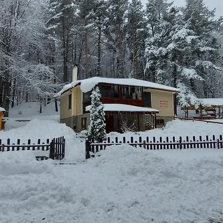 Vanessa Koprivki Area