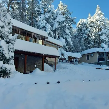 Vanessa Koprivki Area *