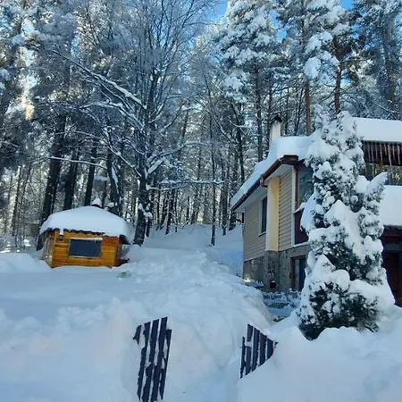 Vanessa Koprivki Area * Tsar Kaloyan (Plovdiv)