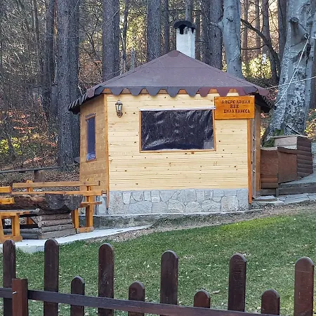 Vanessa Koprivki Area Villa