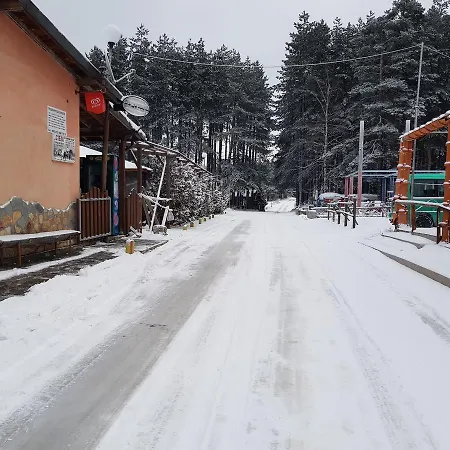 Vanessa Koprivki Area *