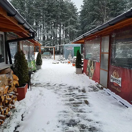 Vanessa Koprivki Area