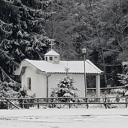 Vanessa Koprivki Area Villa