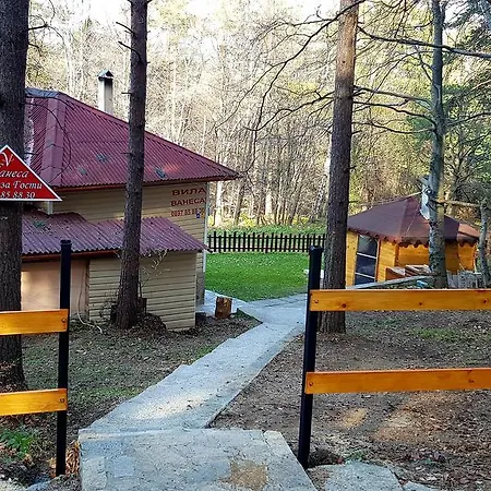 Villa Vanessa Koprivki Area *