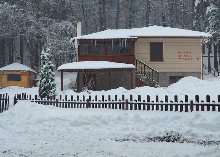 Vanessa Koprivki Area Villa