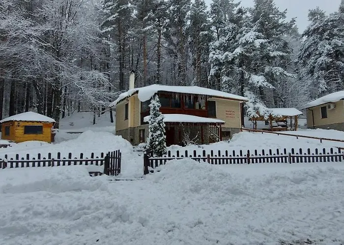 Vanessa Koprivki Area