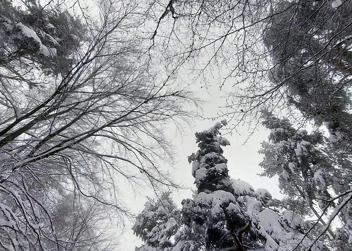 Vanessa Koprivki Area Tsar Kaloyan (Plovdiv)