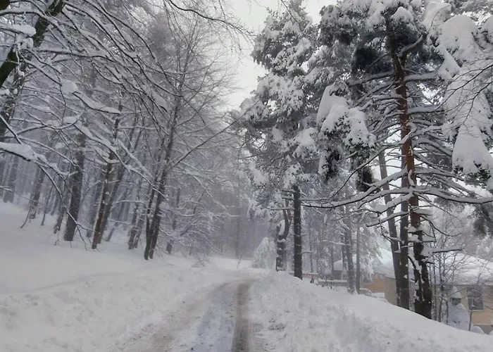 Villa Vanessa Koprivki Area