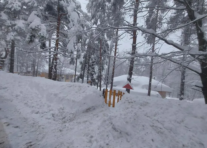 Vanessa Koprivki Area Villa