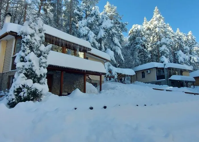 Vanessa Koprivki Area *