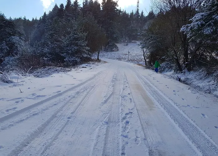 Vanessa Koprivki Area