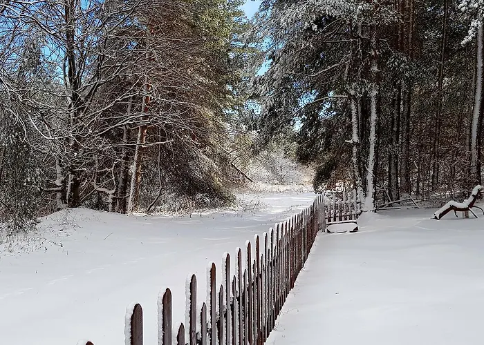Villa Vanessa Koprivki Area *