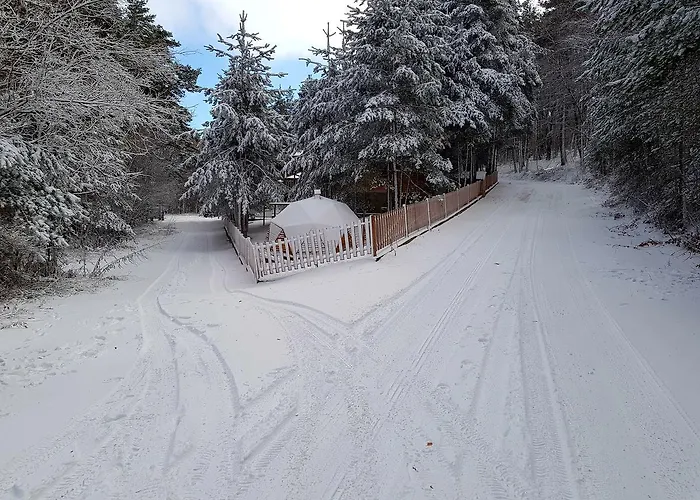 Vanessa Koprivki Area * Tsar Kaloyan (Plovdiv)