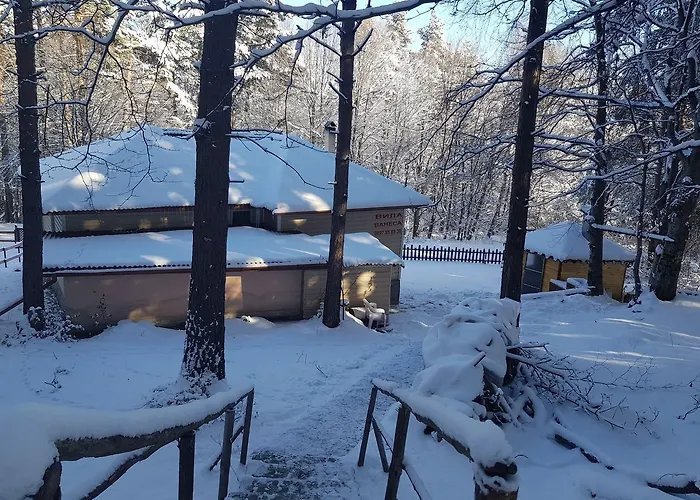 Vanessa Koprivki Area