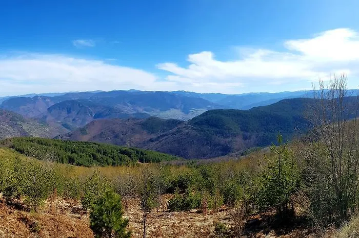 Vanessa Koprivki Area Villa Tsar Kaloyan (Plovdiv)